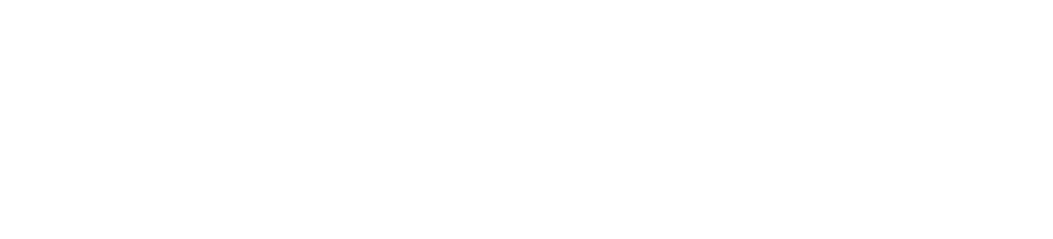 LAiB — Artificial Intelligence Laboratory